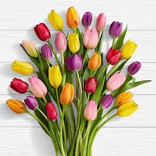test567